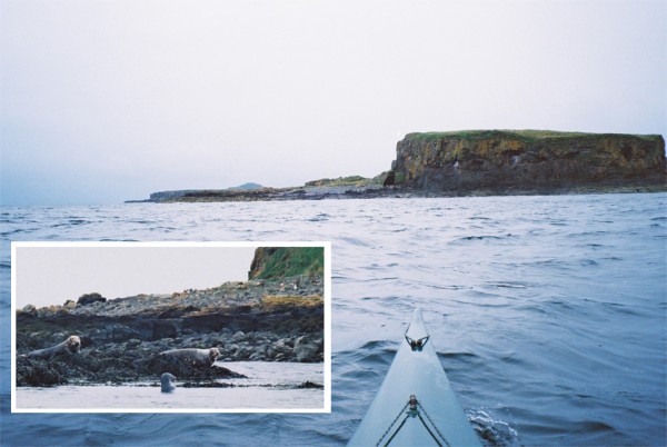 Sea kayak, island and seals
