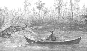 Nathaniel Bishop's paper canoe