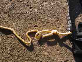 Chain coiling 3