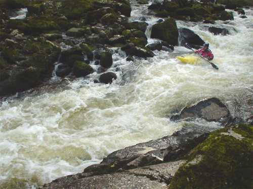 Kayak in white water