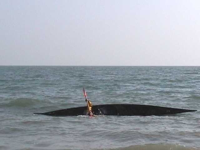 One of sequence of kayak rolling photos