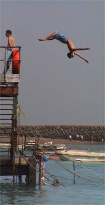 Children diving into harbour