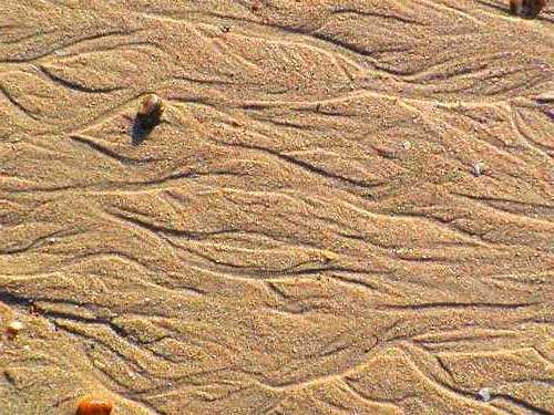 Braided patterns in sand