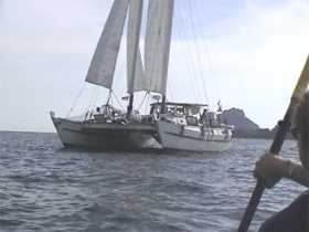 Wharram catamaran in Force 2 wind