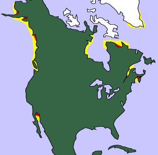 Tidal range in North America